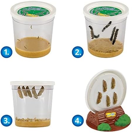 Insect Lore Butterfly Garden Home School Kit | Live Cup of Caterpillars | Ultra-Clear Observation Dome | Fold-Out Life Cycle Panel | STEM Butterfly Journal | Raise Painted Lady Butterflies