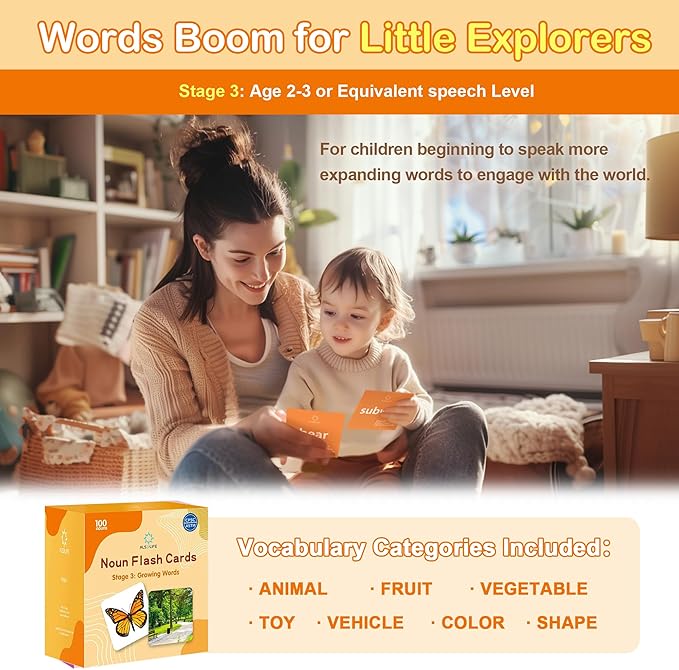 100 Nouns Flashcards, Key Vocabulary Flash Cards for Toddlers 2-3, Sturdy and Durable Speech Therapy Materials Flash Cards for Autism Learning, ABA Therapy| Special Education Must Have