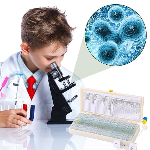 60 Pieces Prepared Microscope Slide Set with Specimens, Plant Animal Cell Science Education Microscope Slides for Bioscience Labs