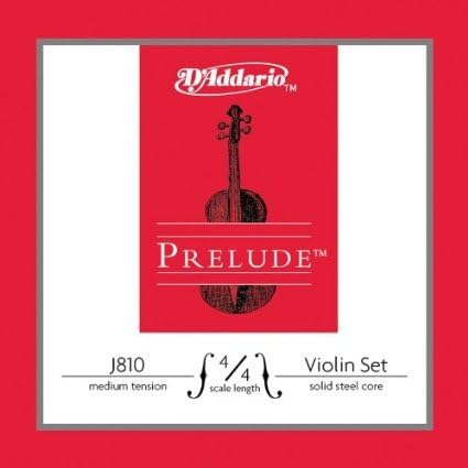 D Z Strad Violin Model 100 with Solid Wood Size 1/4 with Case, Bow, and Rosin