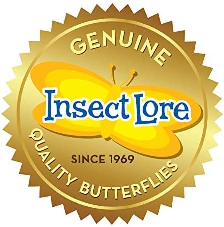 Insect Lore Butterfly Garden with Live Cup of Caterpillars | English and Spanish STEM Activity Journals | 5 Painted Lady Butterfly Baby Caterpillars and Mesh Habitat