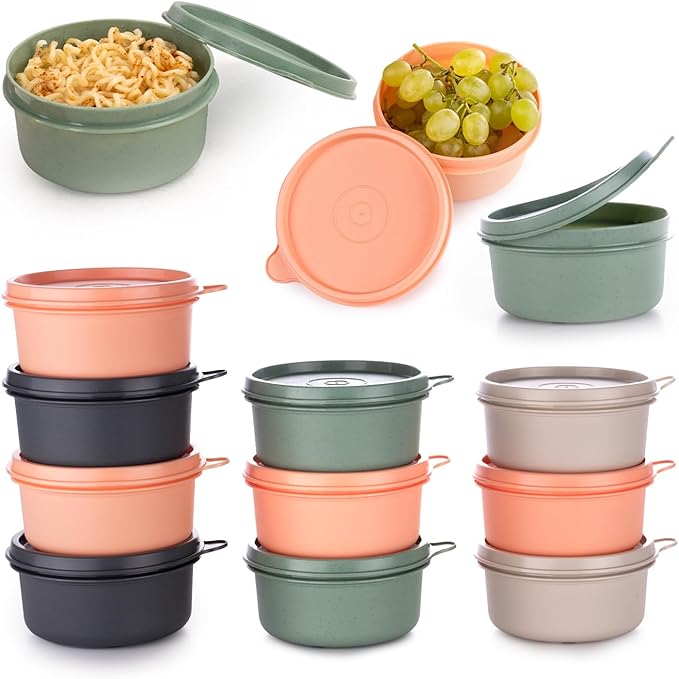 9 oz Small Round Food Storage Containers with Lids Set of 10, Airtight Leakproof Reusable, Plastic To Go Bento Box, Mini Lunch Box, Snack Storage Bowl, for Kitchen, Picnic (10)