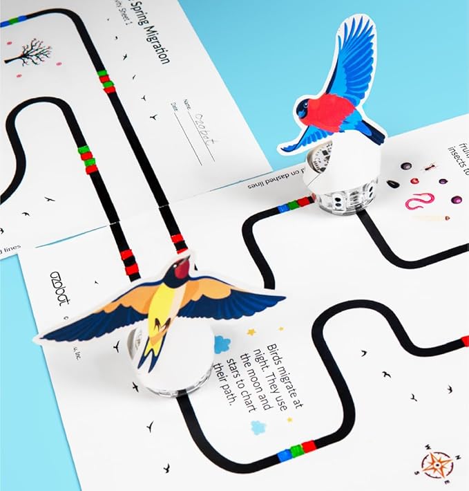 Evo Entry Kit: Interactive Coding Robot, Kids Ages 5+, Includes Color Code Markers, Charging Cable, Zip Case, Access to 700+ STEM Lessons - Educators & Parents, No Coding Experience Required