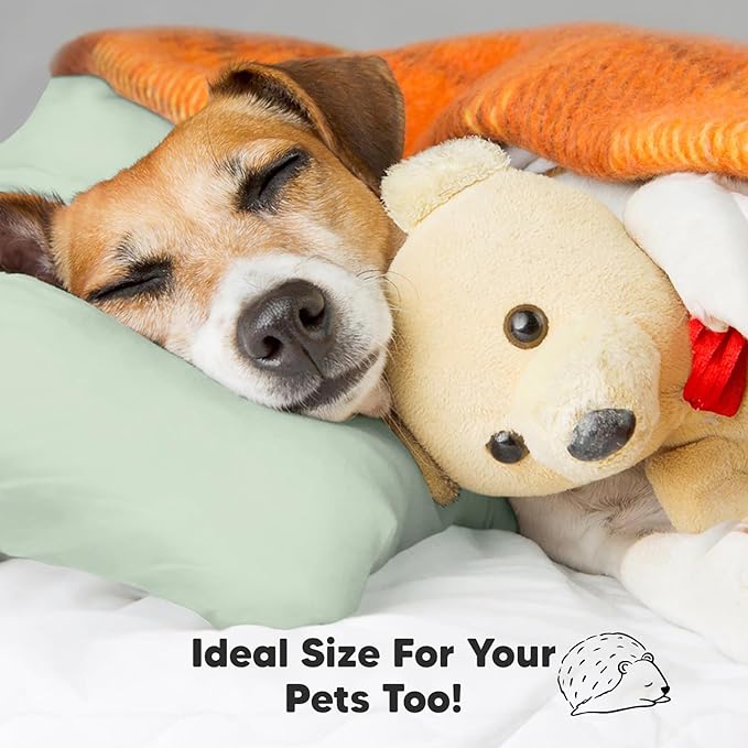 KeaBabies Toddler Pillow with Pillowcase, Jumbo 14X20 - Soft Organic Cotton Toddler Pillows for Sleeping - Machine Washable - Perfect for Travel, Toddler Bed Set (Sage)