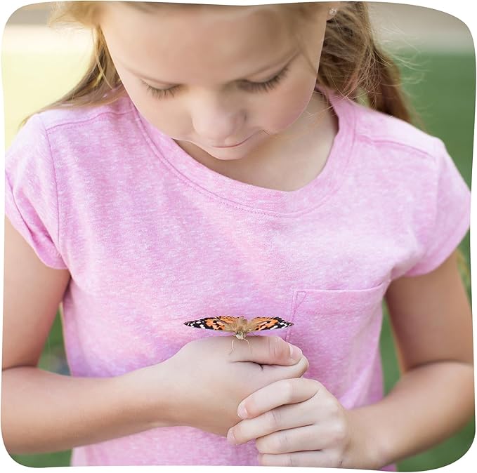 Insect Lore Cup Caterpillars - 5 Live Painted Lady Caterpillars with Food - Includes Figurines - Refill Kit for Butterfly Garden Habitat - STEM Science Activity for Kids and Classrooms