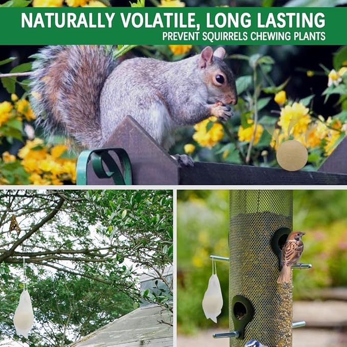 Squirrel Repellent Outdoor, Chipmunk Repellent for Attic/Garden/Bird Feeders/Plants/Cars, Deterrent Squirrels, Keep Chipmunks Away-Pack of 12