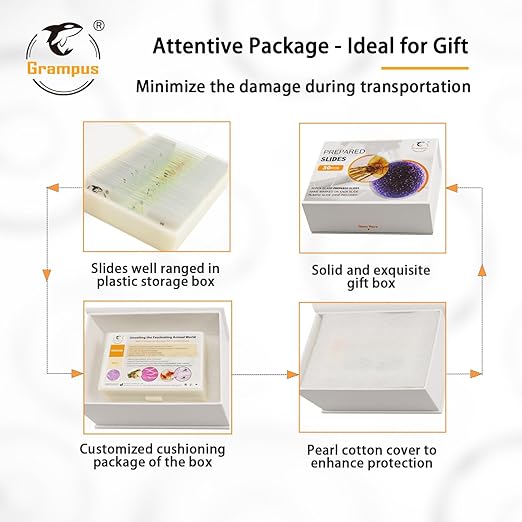 30 Prepared Microscope Slides with Specimens for Kids Students - Histology, for Biological Science Lab, Children's Science Education, Homeschooling Use
