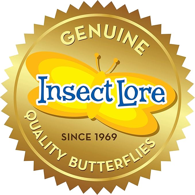 Insect Lore Raise and Release Butterfly Garden Kit – Caterpillar Habitat with redeemable Voucher – STEM-accredited Live Butterfly Growing Kit for Kids, Classrooms, and Homeschool Learning