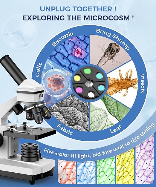 Compound Microscope for Adults & Kids - 100X-2000X High-Power Biological Microscope for Students, School Lab & Home Education, with Slides Set & Phone Adapter (White)
