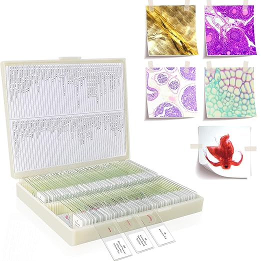 100Pcs Prepared Microscope Slides Set Professional Specimens for Kids Student Homeschool Use