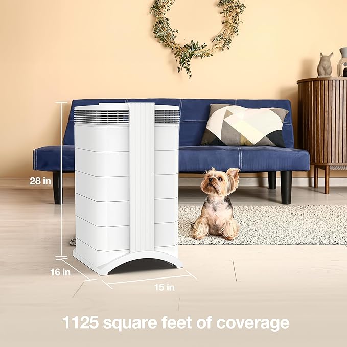IQAir HealthPro Plus XE Air Purifier - 3-Pack- Smart HyperHEPA Filtration for Large Rooms up to 3375 sq ft - Viruses, Allergens, Smoke, Mold, Dust, Pet Dander, Swiss Made, WiFi Enabled