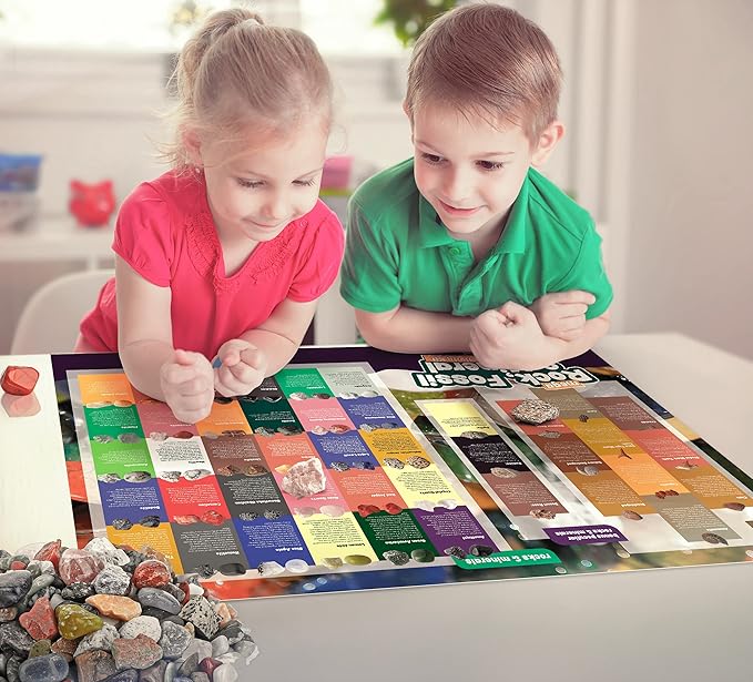 Dan&Darci Rock Collection for Kids - Includes 250+ Bulk Rocks, Gemstones & Crystals + Genuine Fossils and Minerals - 2 Lbs. - Geology Earth Science STEM Toys Activity, Gifts for Boys & Girls Ages 6+