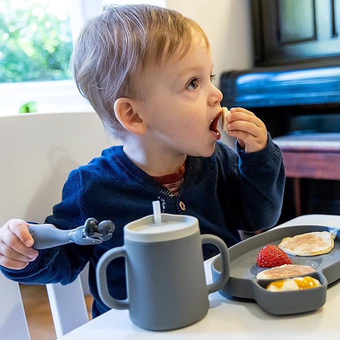 Baby Cutlery Set With Case, Spoon & Fork for Self Feeding, Silicone, 6 Months Plus (Grey)